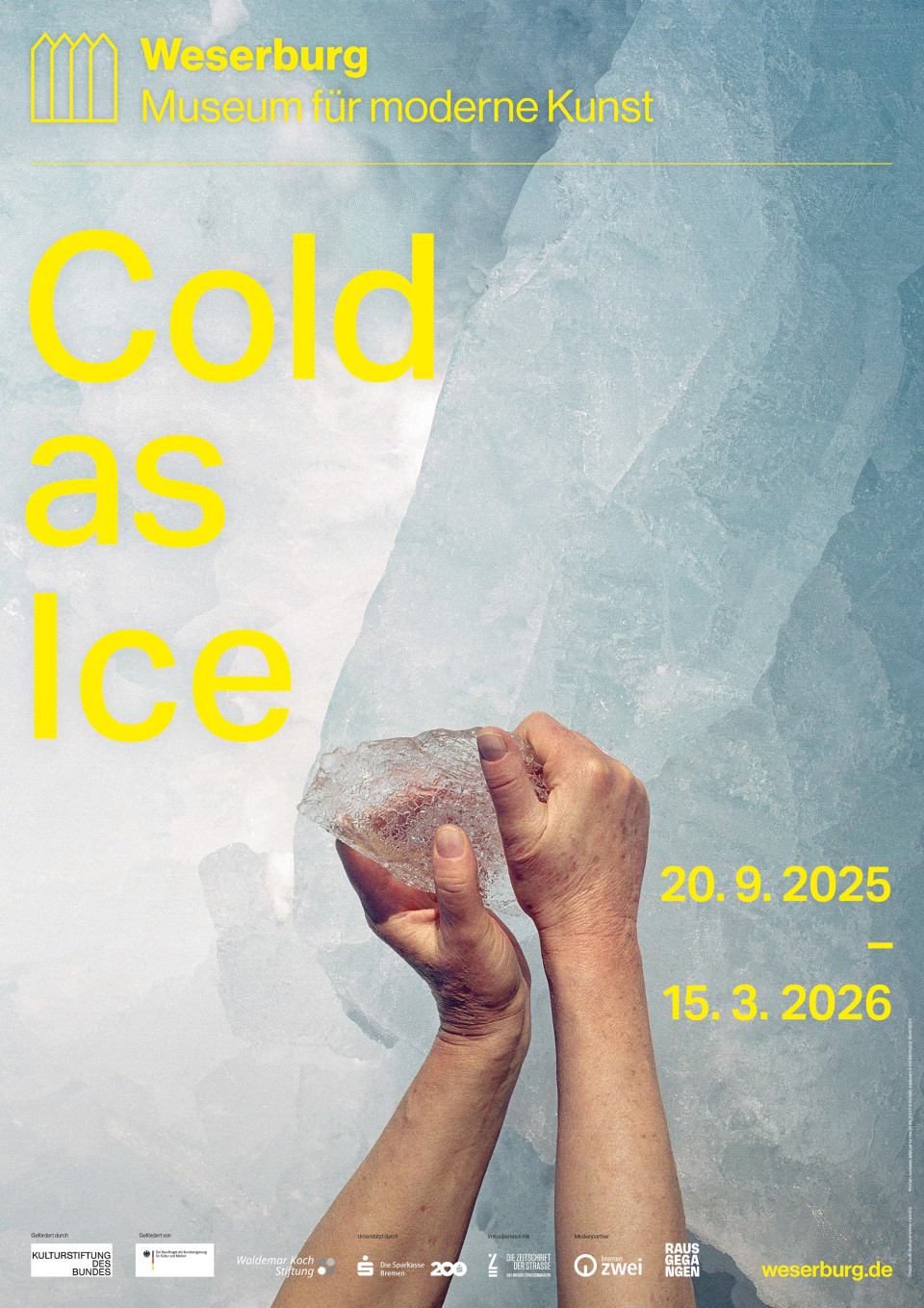Cold As Ice Poster