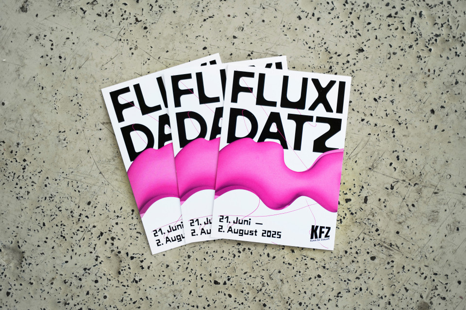 Fluxi Datz