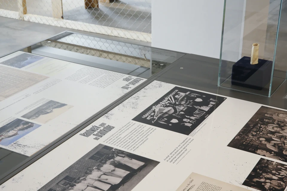 Nachbarn hinter Stacheldraht